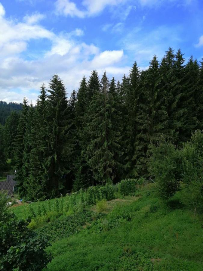 Marichka Yablunytsya Exterior foto